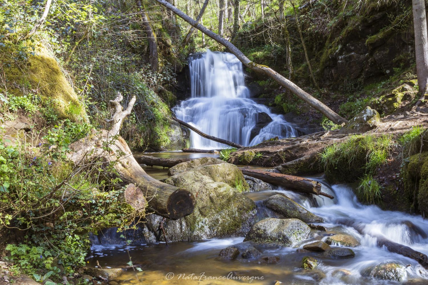 Gorges d'Enval avril 2024 by @NataFranceAuvergne-4047